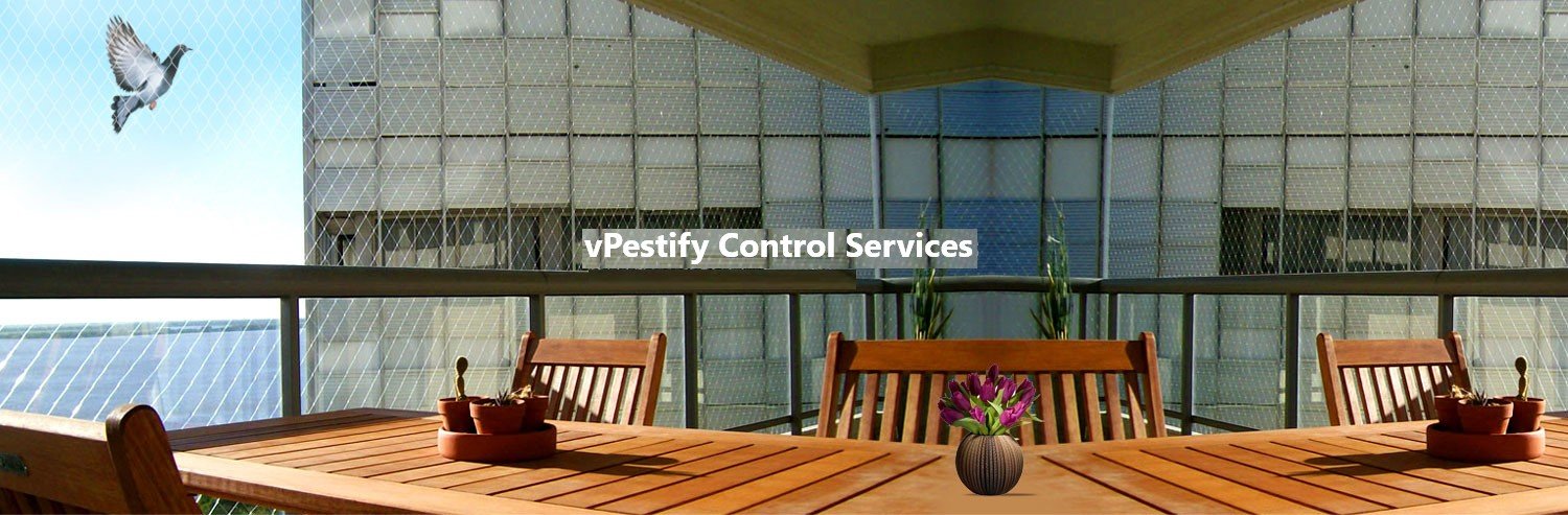 Best Bird Control Best Bird Control
